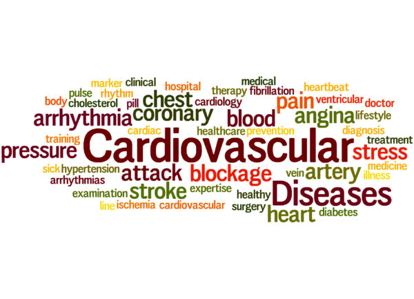 Cardiovascular Diseases, word cloud concept on white background. Heart Attack, Stroke, High Blood Pressure, Hypertension