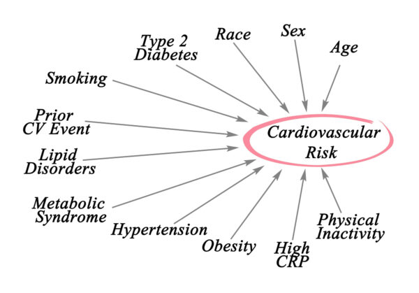 Twelve Drivers of Cardiovascular Risk